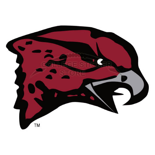 Personal Maryland Eastern Shore Hawks Iron-on Transfers (Wall Stickers)NO.4987